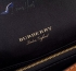 Burberry Bag 002